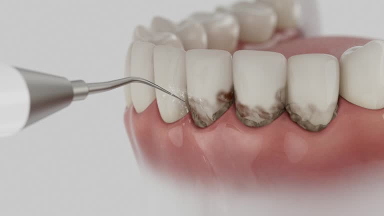 Reliable Dental contractor in Hemlock, MI by Dentist Open Now
